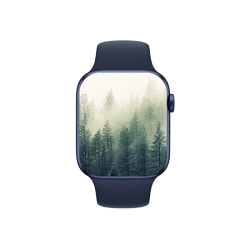 Go to the Smartwatches section
